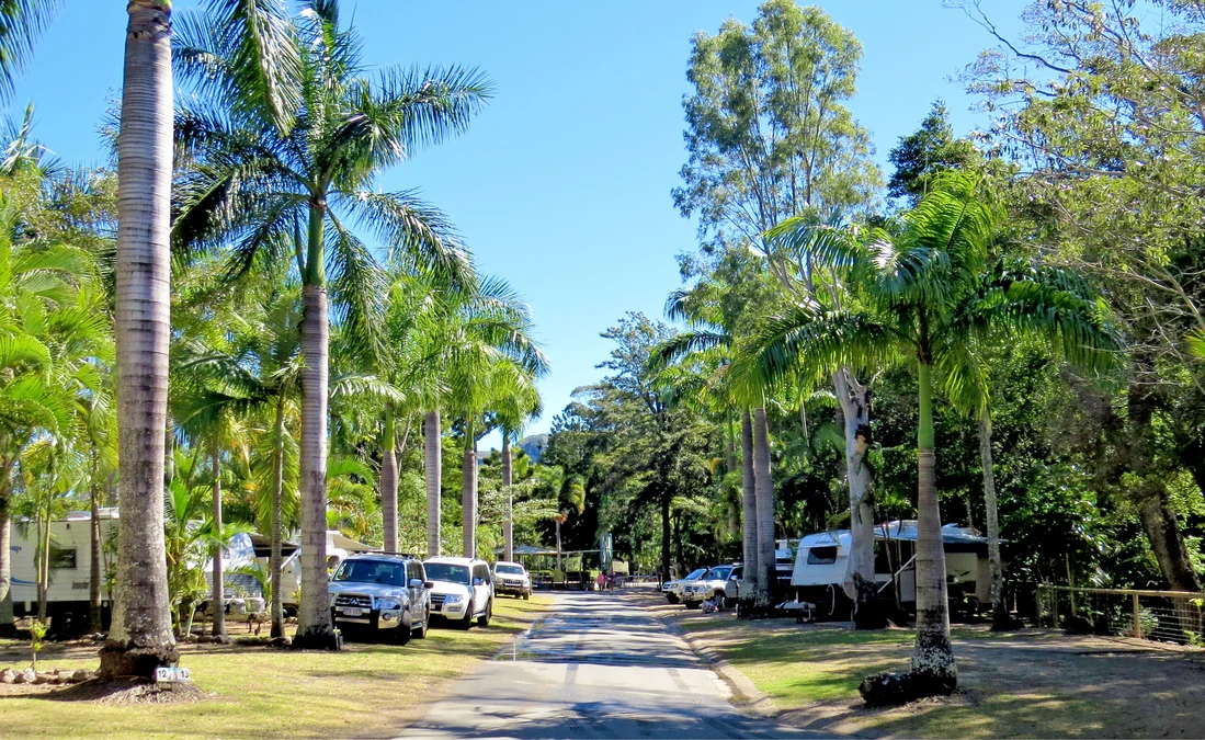 Premium Powered Site Cape Hillsborough Nature Park