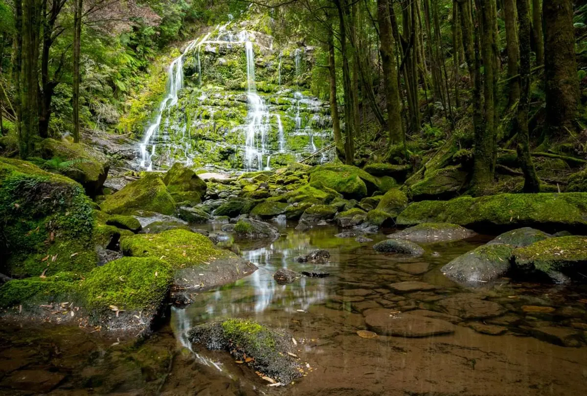 A Waterfall in the Tasmanian Wilderness near Strahan Village