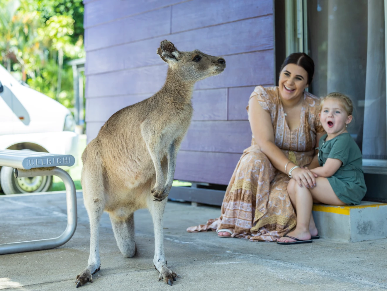 Young family with kangaroo at Cape Hillsborough Nature Tourist Park, Mackay.