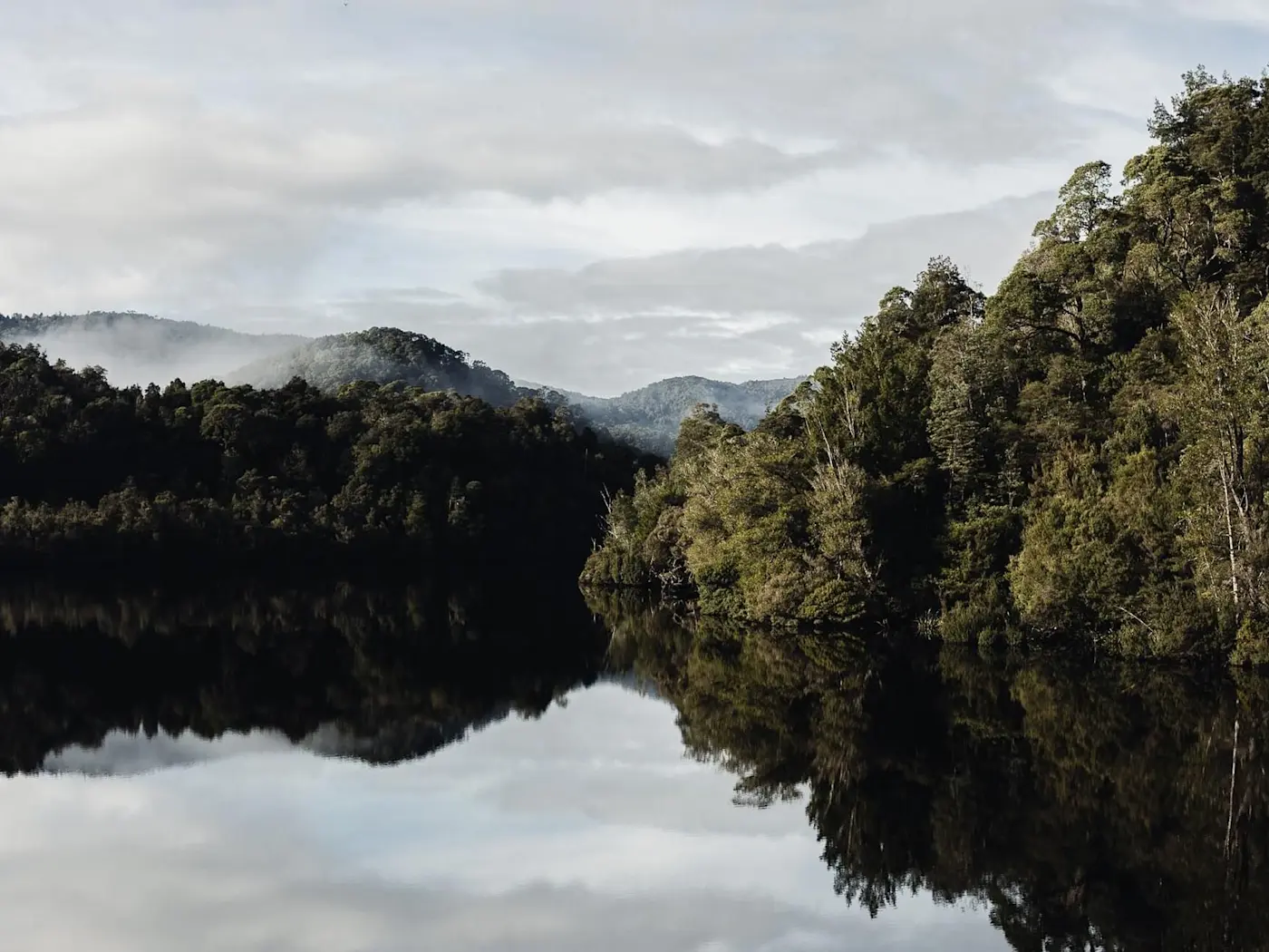 Gordon river cruises beautiful water
