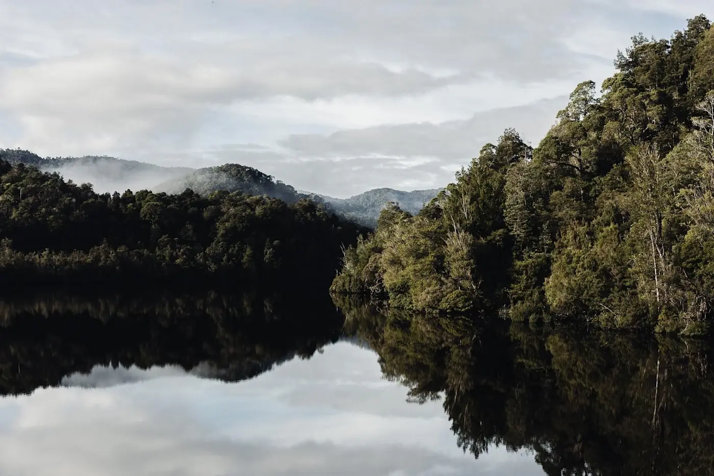 Gordon river cruises beautiful water