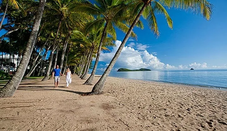 Palm Cove