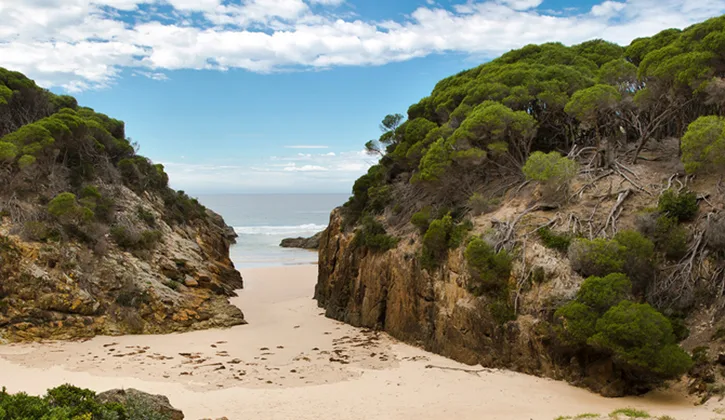 Bournda National Park Tathra