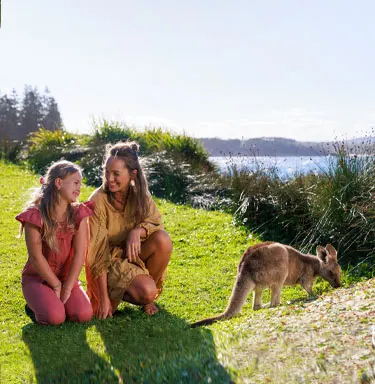 NRMA - people enjoying a stay in nature looking at a wild Kangaroo