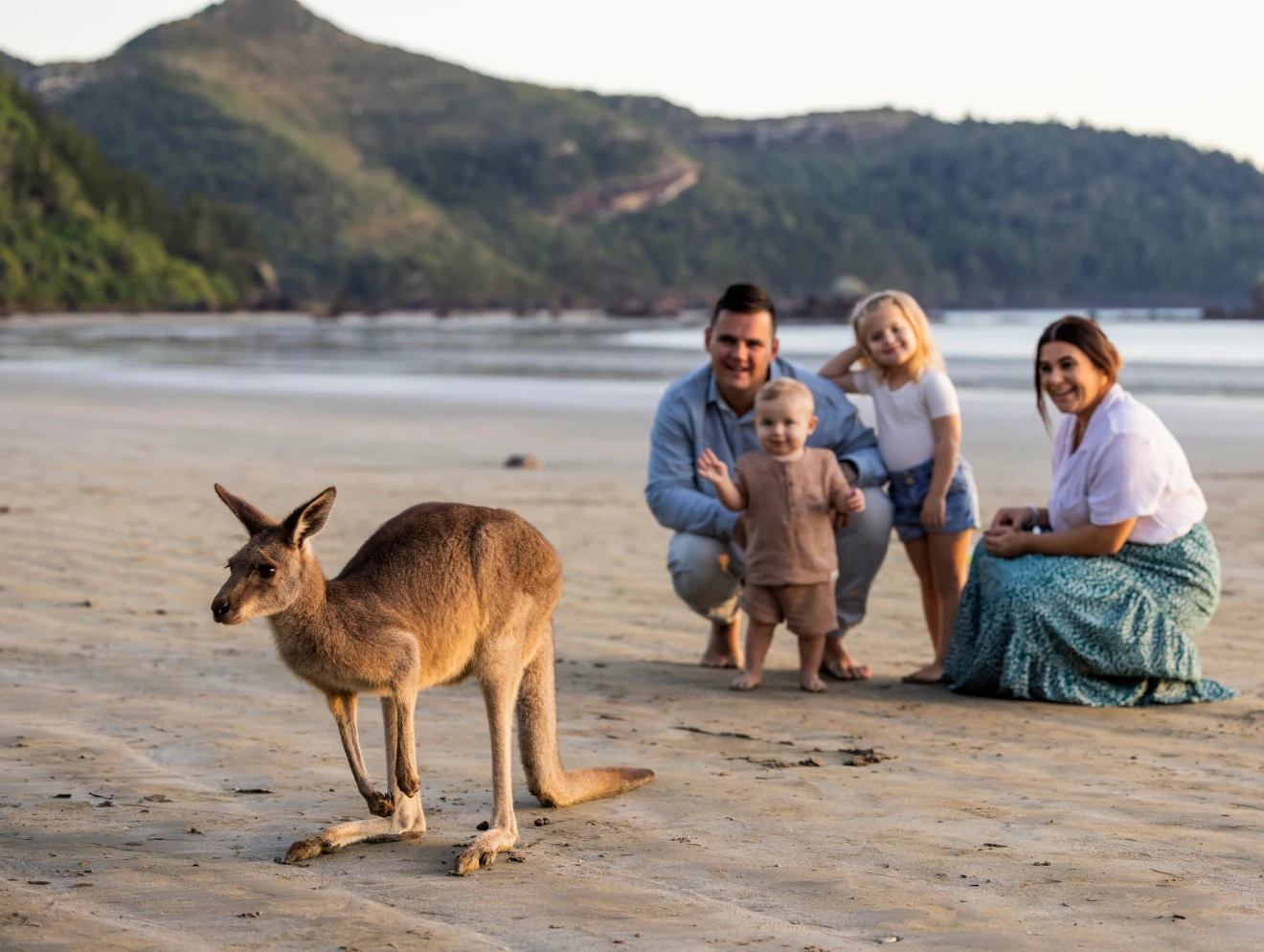 Family with a kangaroo on the beach, Cape Hillsborough, Mackay.