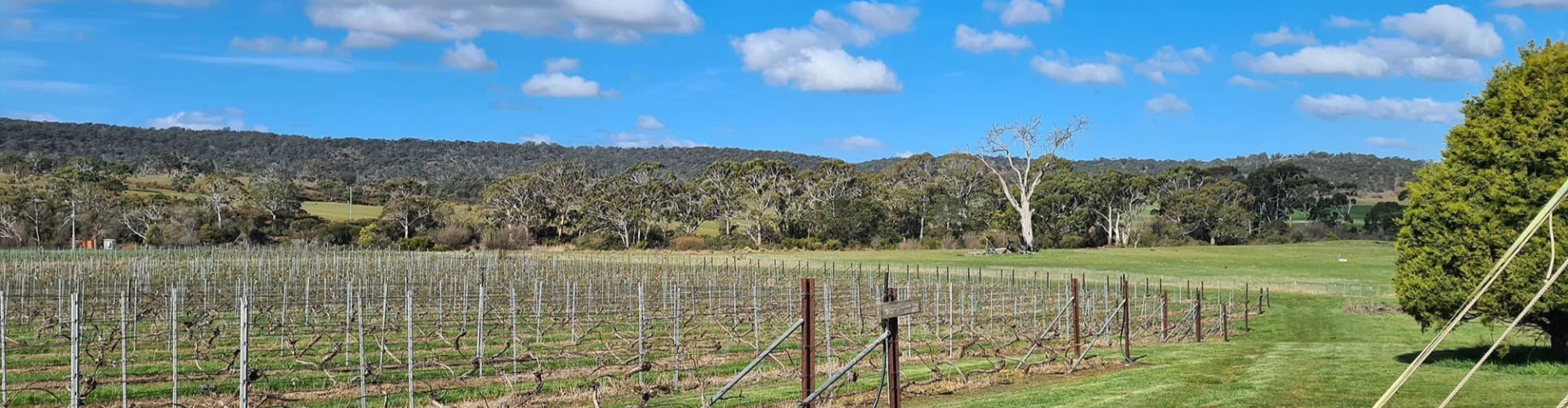 1919x500_Tasmania East Coast Wineries