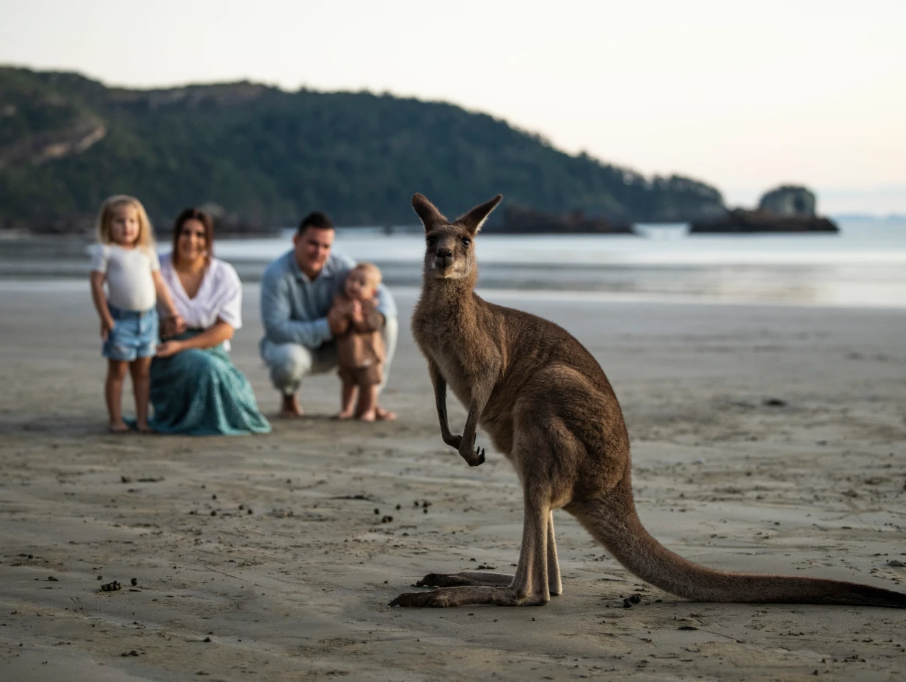 Family watching kangaroo on beach