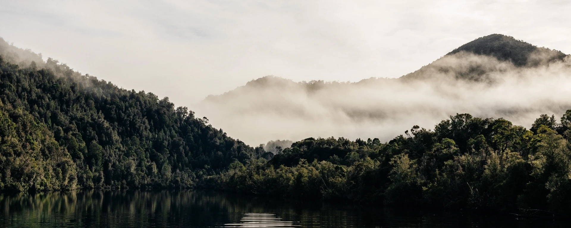 Gordon River and Tasmanian wilderness