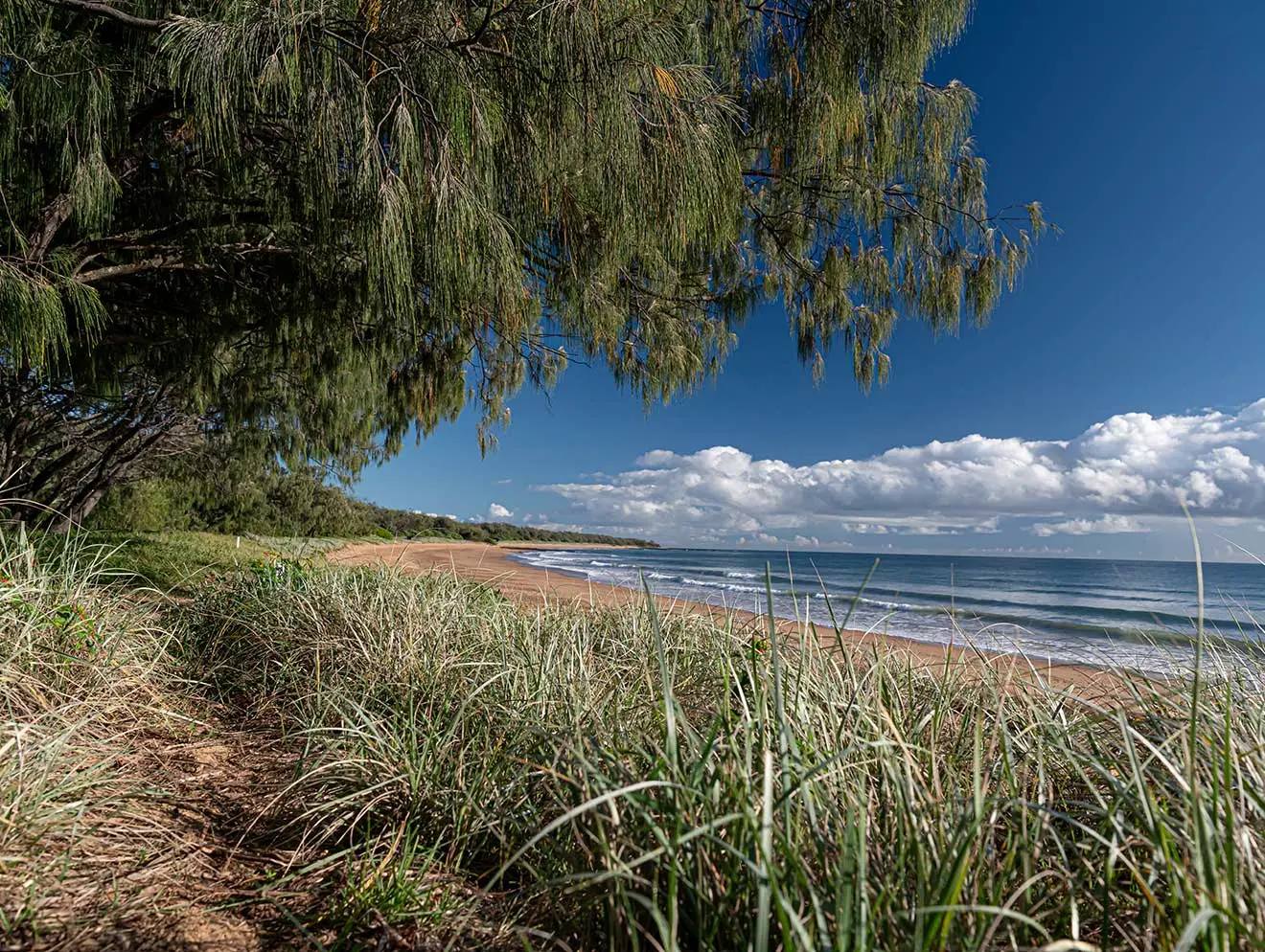 Mon Repos beach