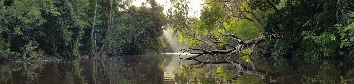 1680x400 CY Header