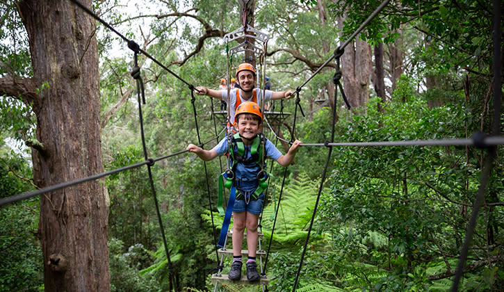 Illawarra Fly Treetop Walk