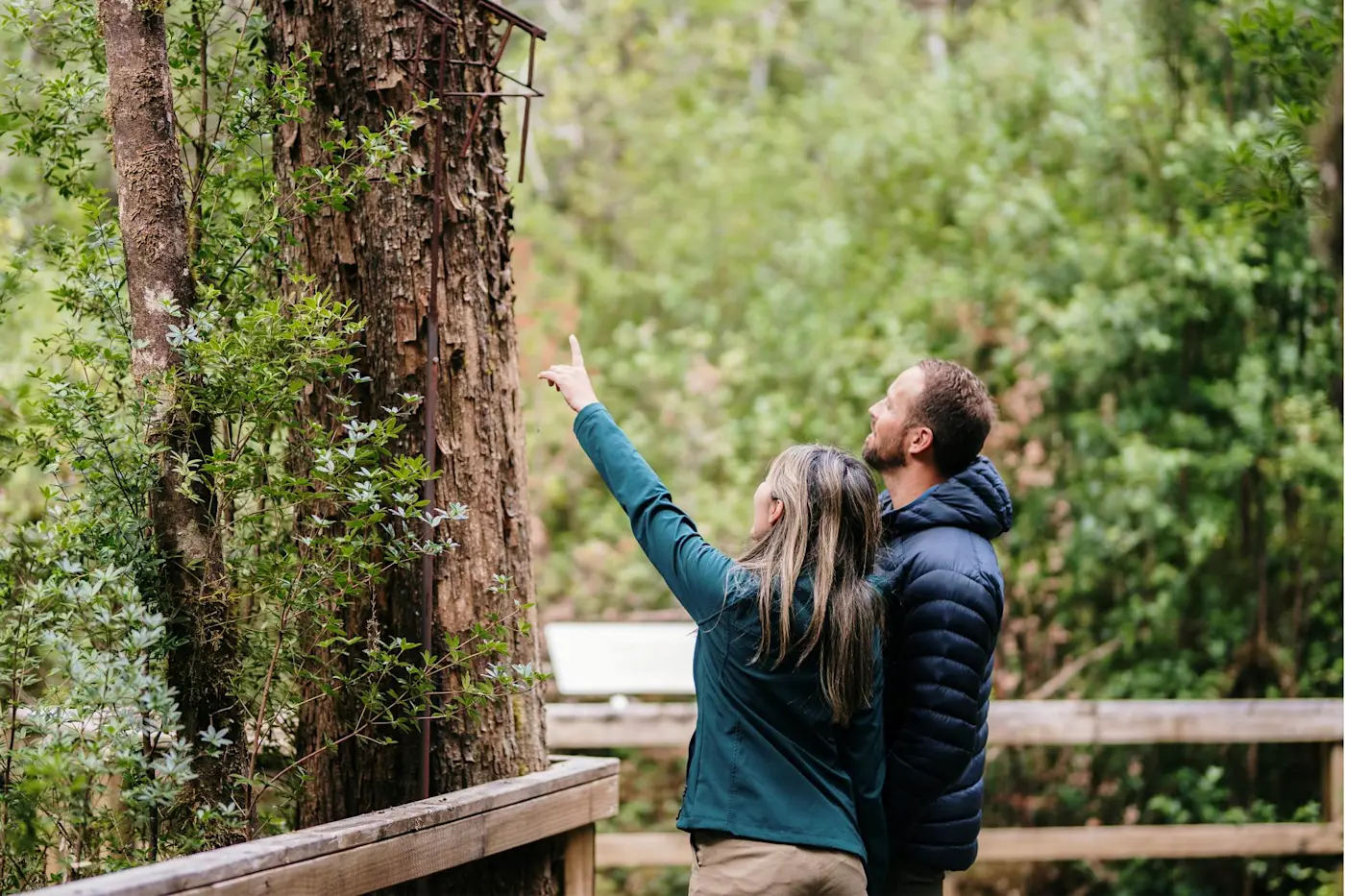 Tasmanian Wilderness near Gordon River Cruises