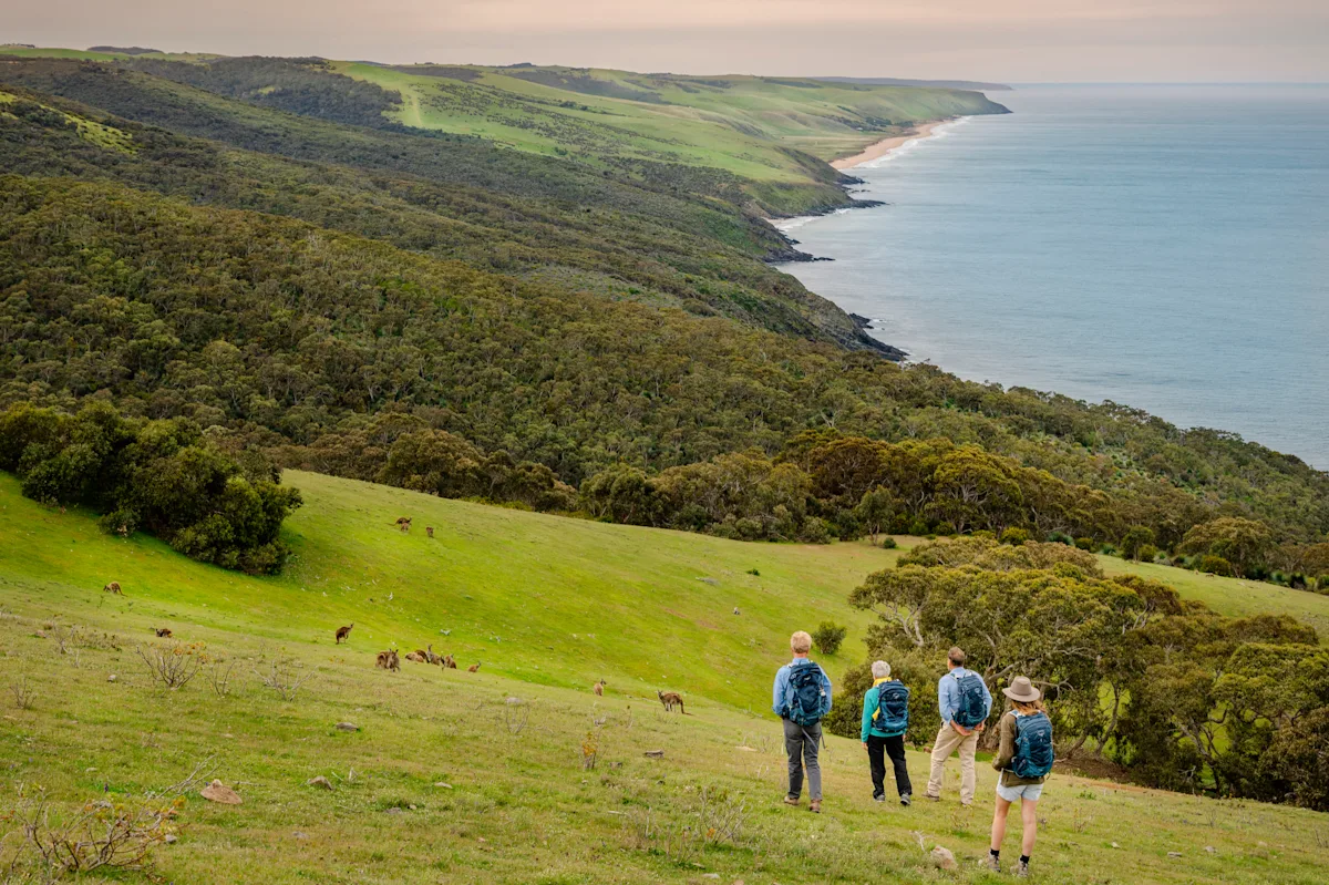 South Australia location shot