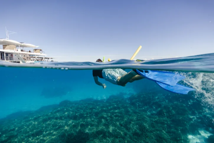 Snorkeller in clear shallow waters off the side of a boat