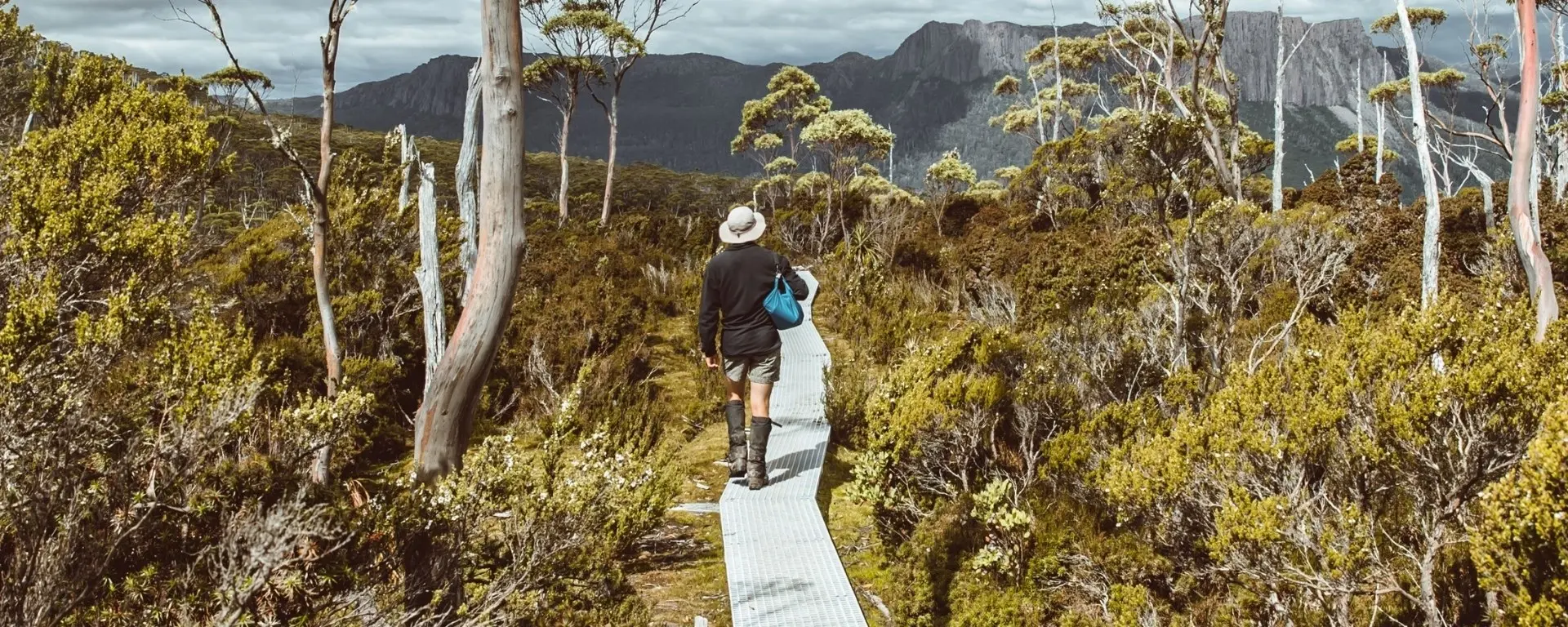 Walking trail near Cradle Mountain Hotel