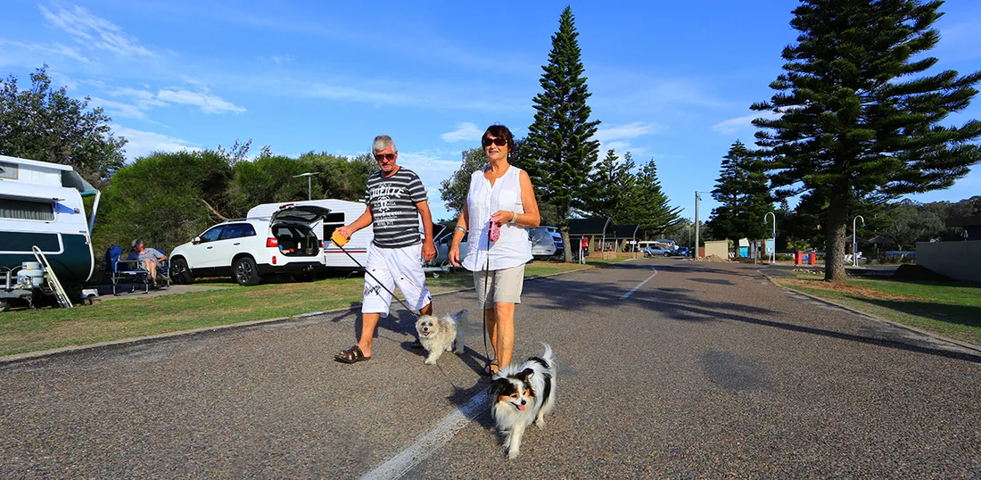Couple walking dogs in NRMA Parks and Resorts