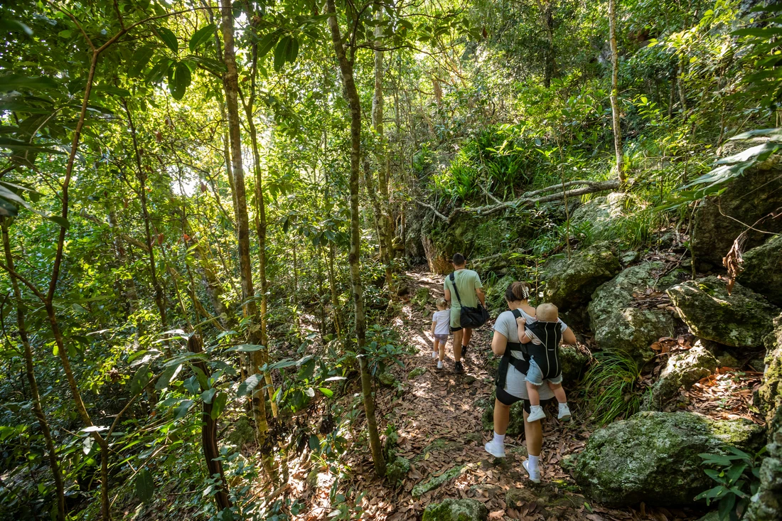 Family hike at Cape Hillsborough Nature Park