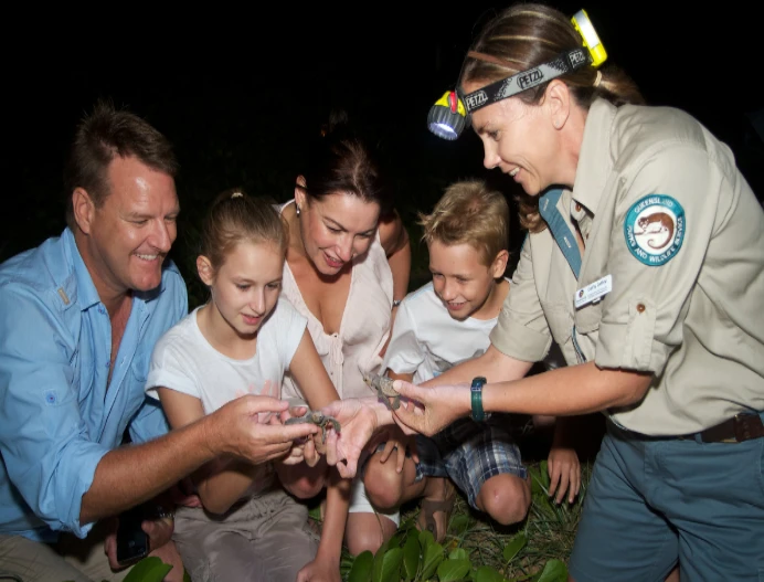 Family looking at baby turtles with a ranger on a Mon Repos turtle encounter tour at night