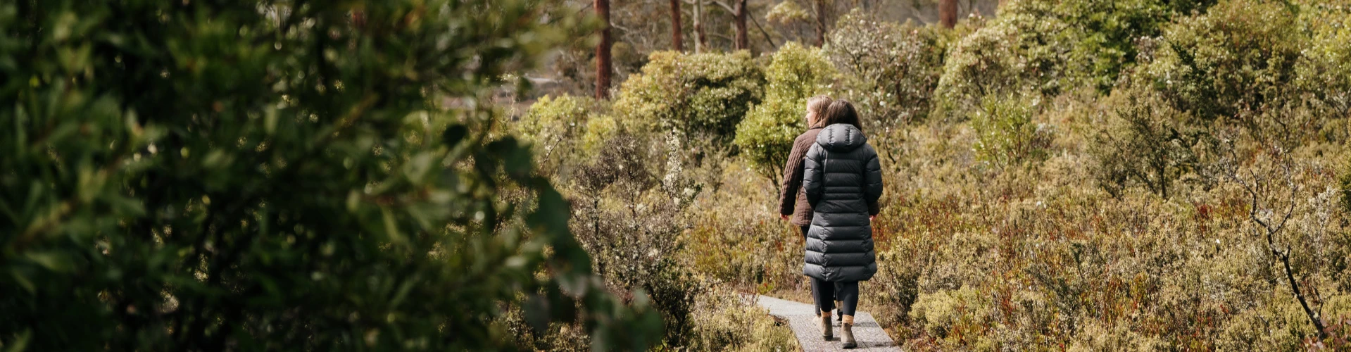 Walking track near Cradle Mountain Hotel