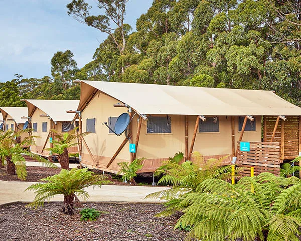 PA 0000 8 210623 NRMA PortArthur Stargazingsafaritent 0226