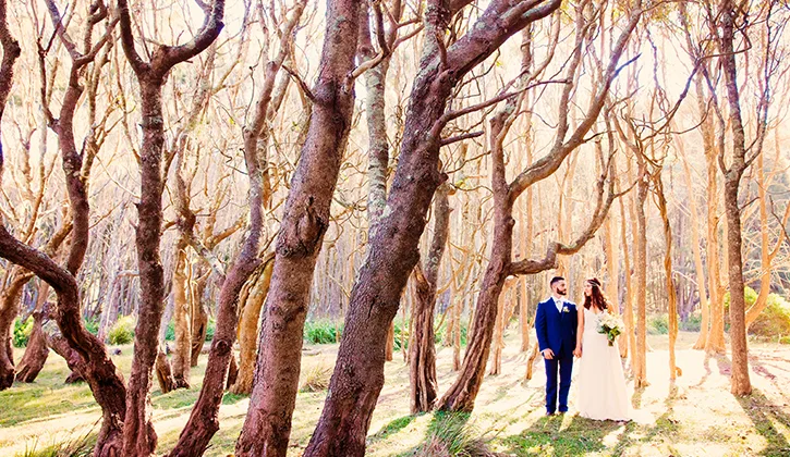 Bride and Groom walking amongst trees