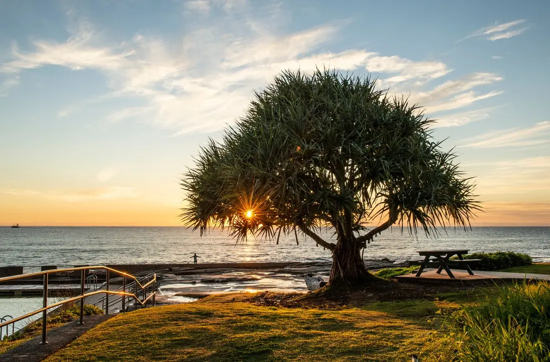 Sunrise Yamba