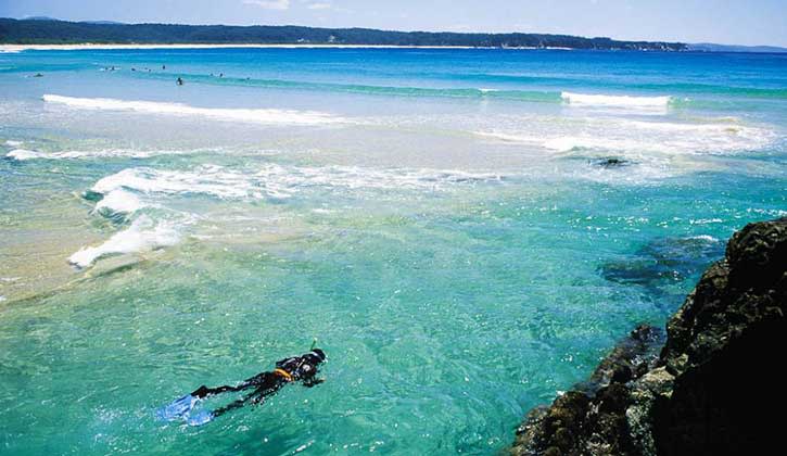 Snorkeling in Tathra