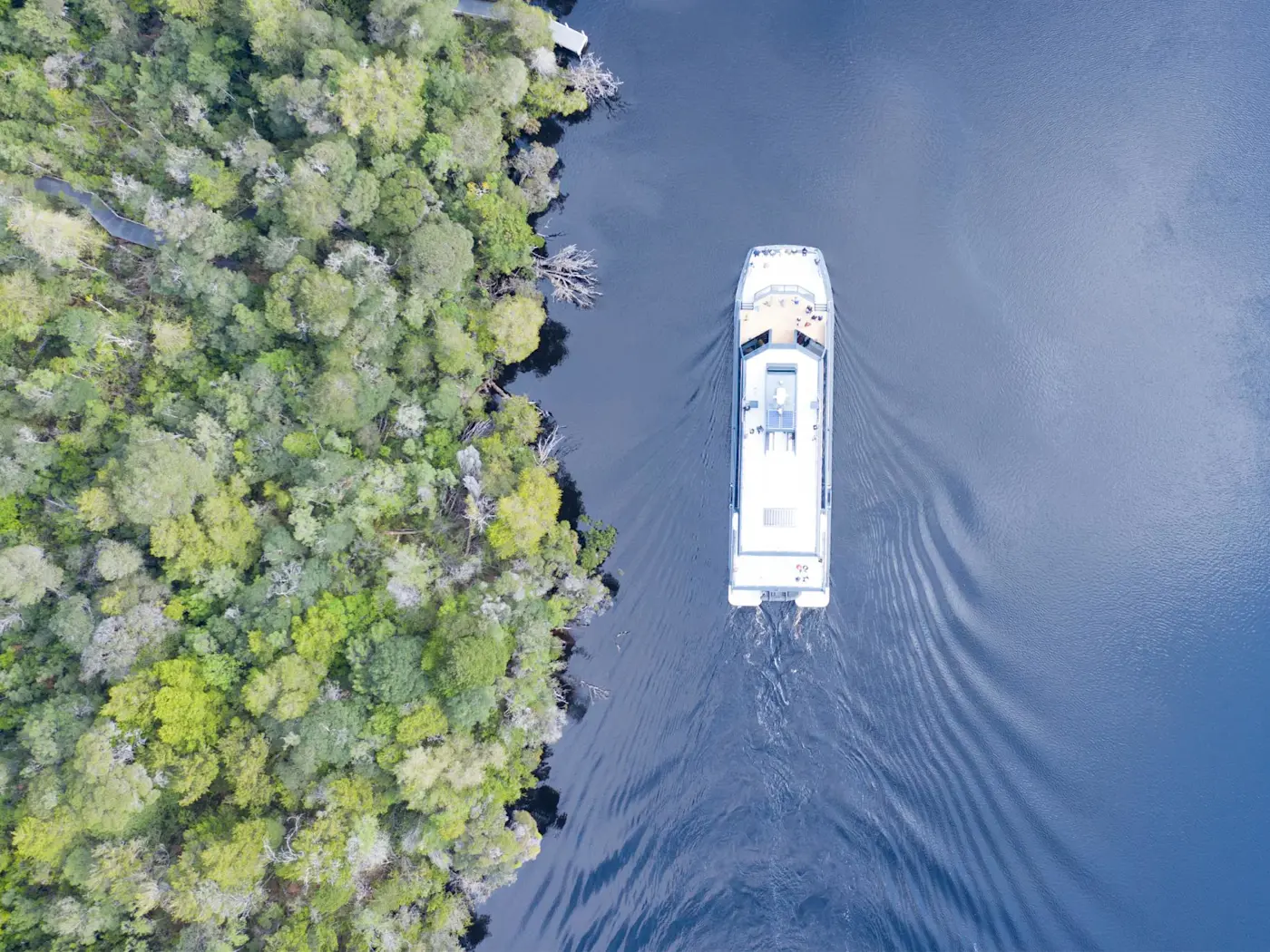 Aerial view of Gordon River Cruise