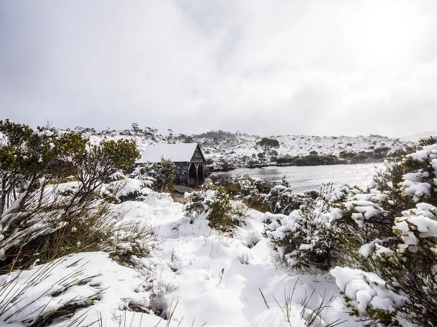Land around hotel covered with snow at Cradle Mountain Hotel
