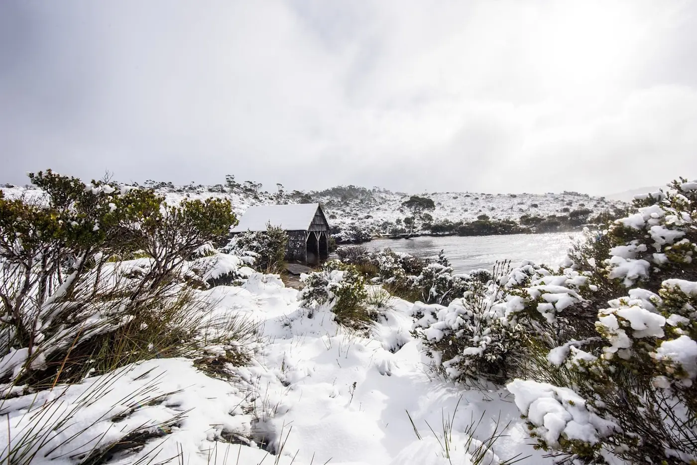 Land around hotel covered with snow at Cradle Mountain Hotel