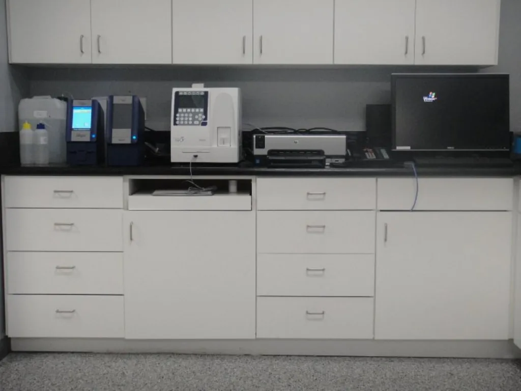 Veterinary Technology