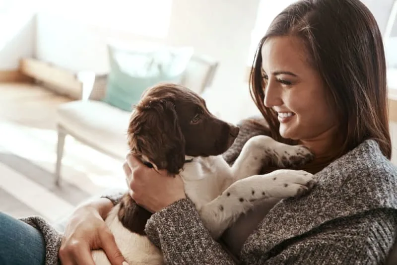 How to Raise a Puppy: Guide for the First Year