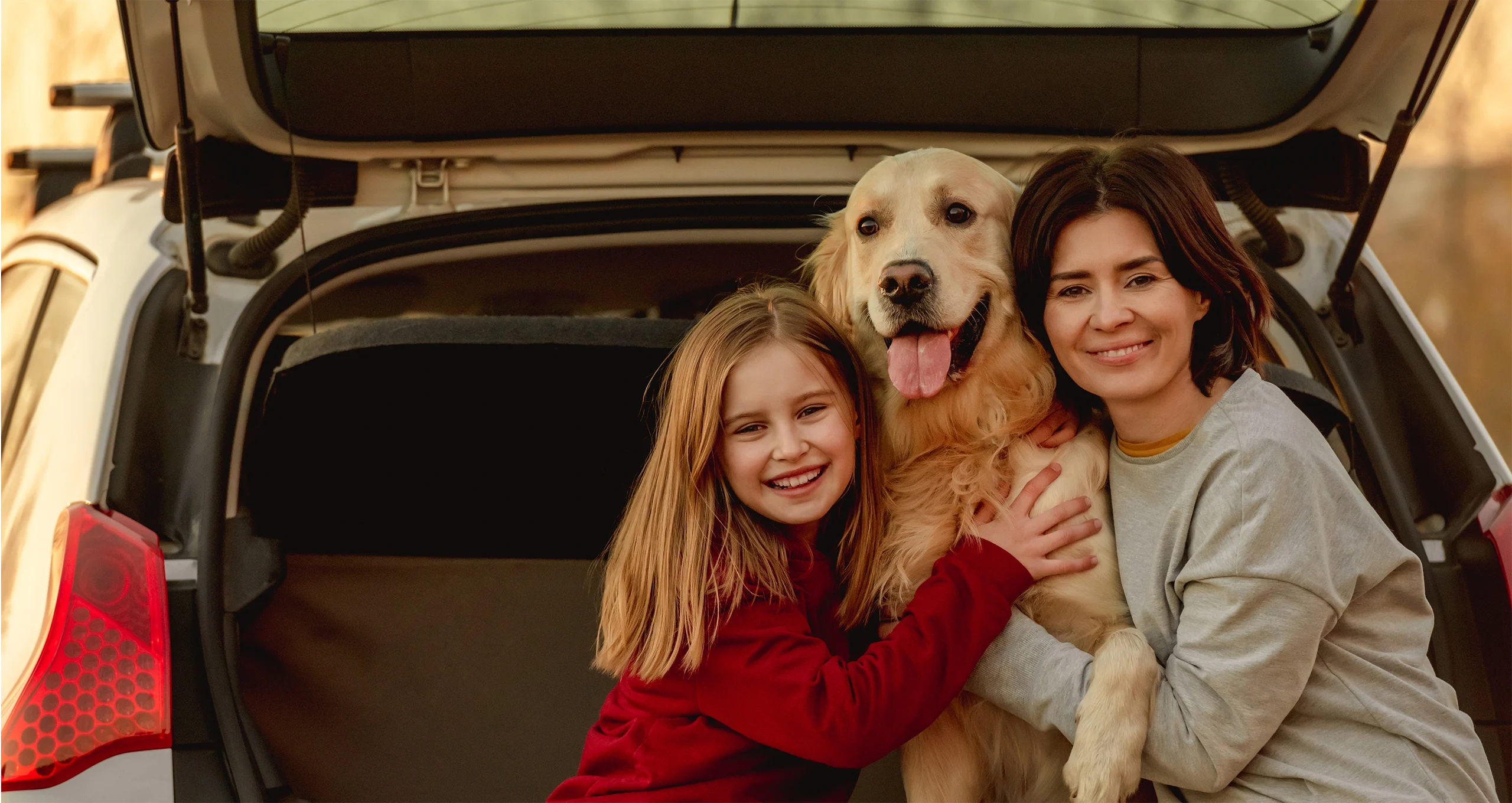 h golden with family in back of suv at dusk