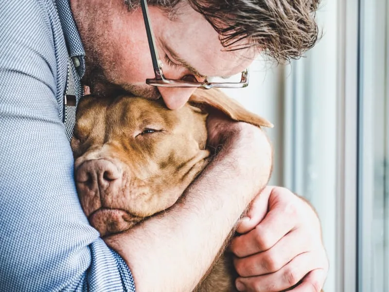 Understanding Your Dogs Blood Test Results