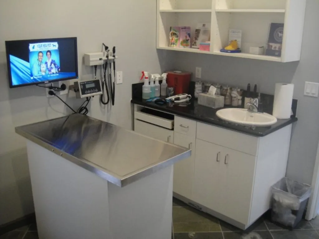 Veterinary Technology