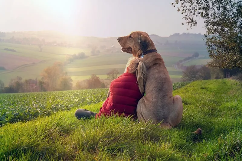 How To Choose a Pet for Your Family