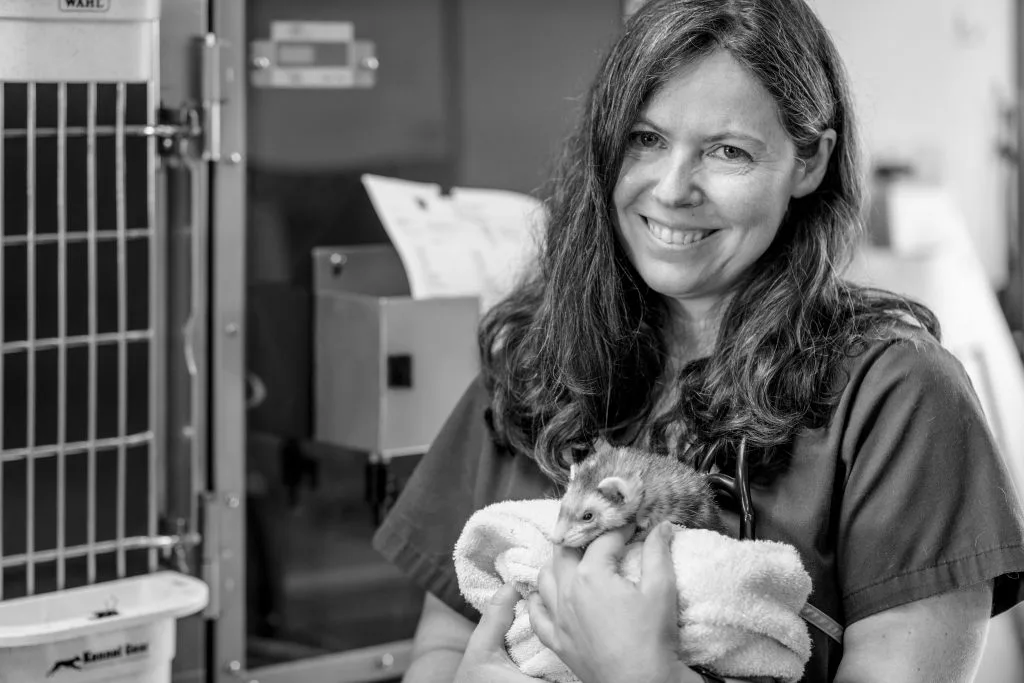 Tam and her pet ferret