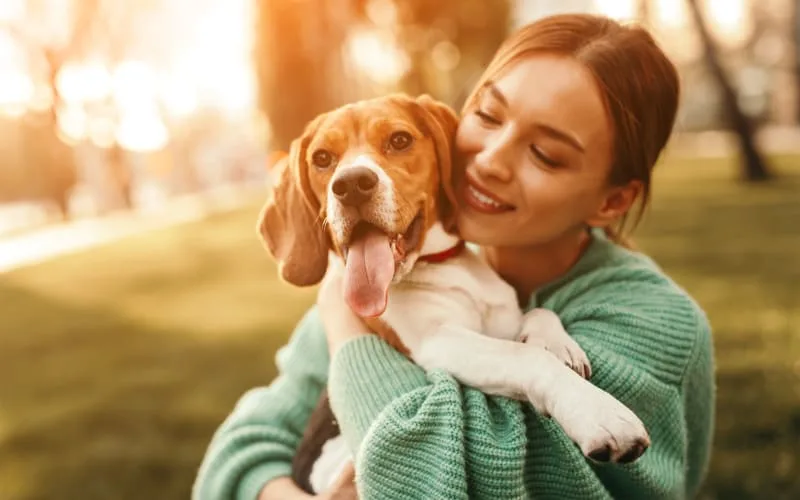 Acute Kidney Failure in Dogs