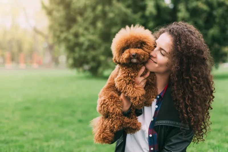 How do I know if my pet has Lyme disease?