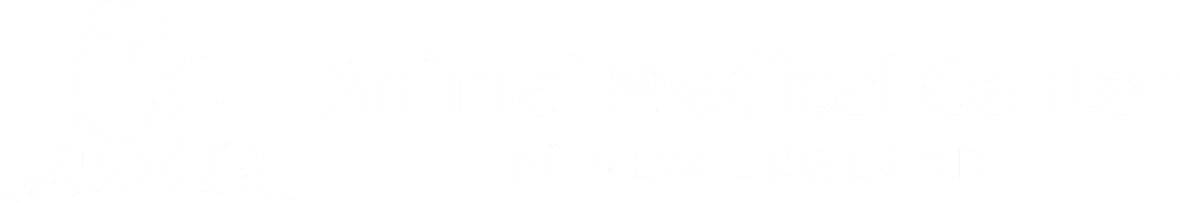 444 Animal Medical Center of New England WHT horizontal