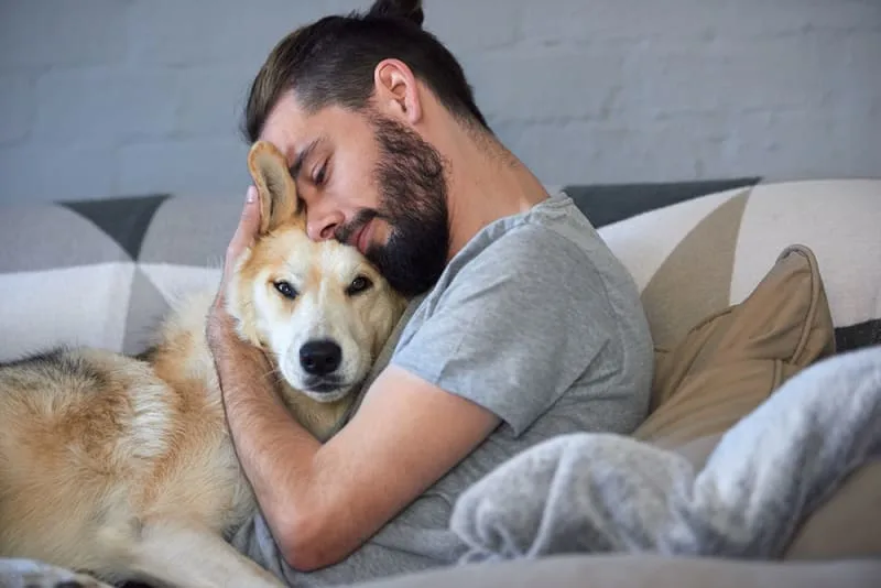 What to Expect if Your Dog Has Cancer