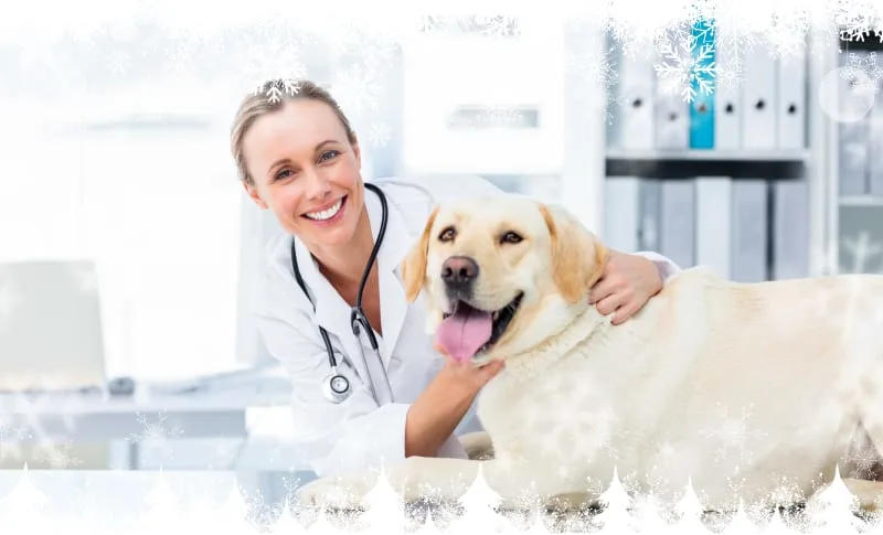 Pet Routine Care Checklist