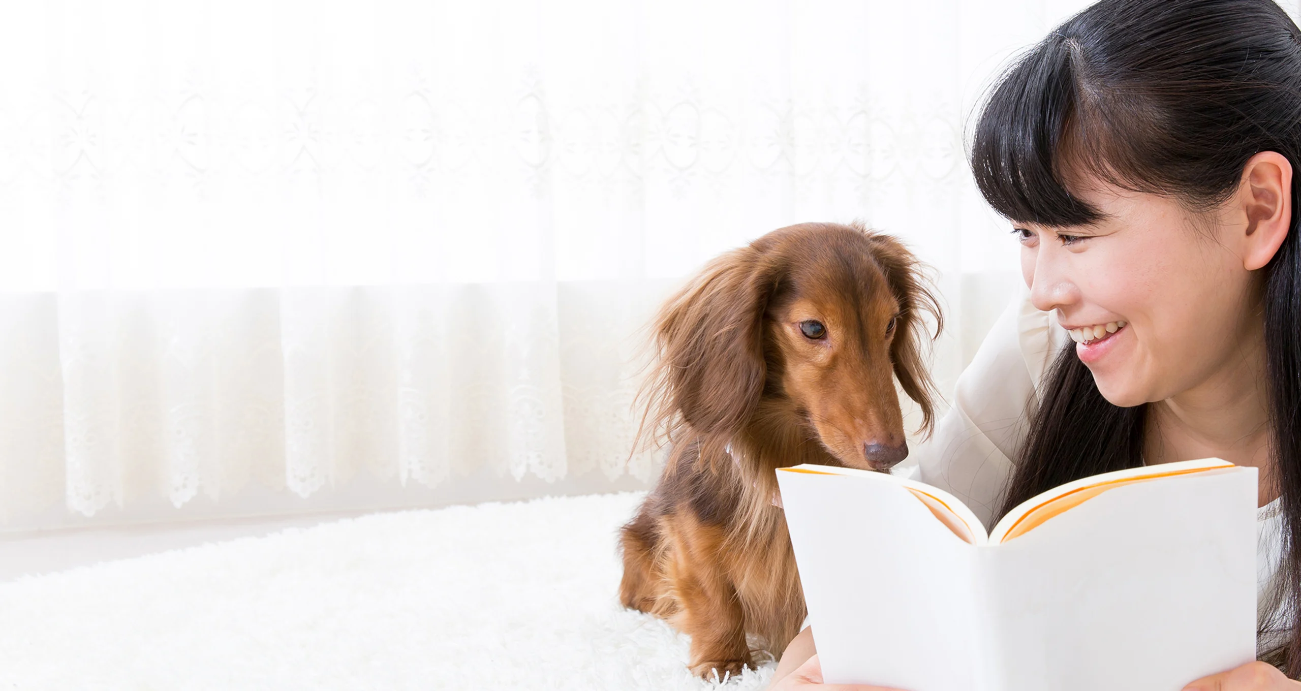 h woman reading to dachshund on white bed