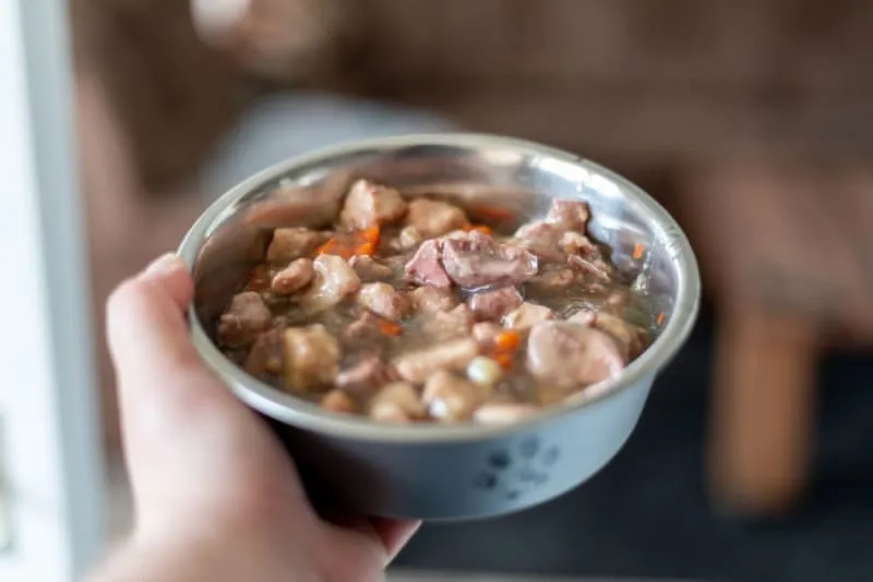 Best Dog Foods For Dogs With Allergies