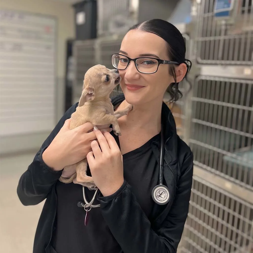 Our Veterinary Team