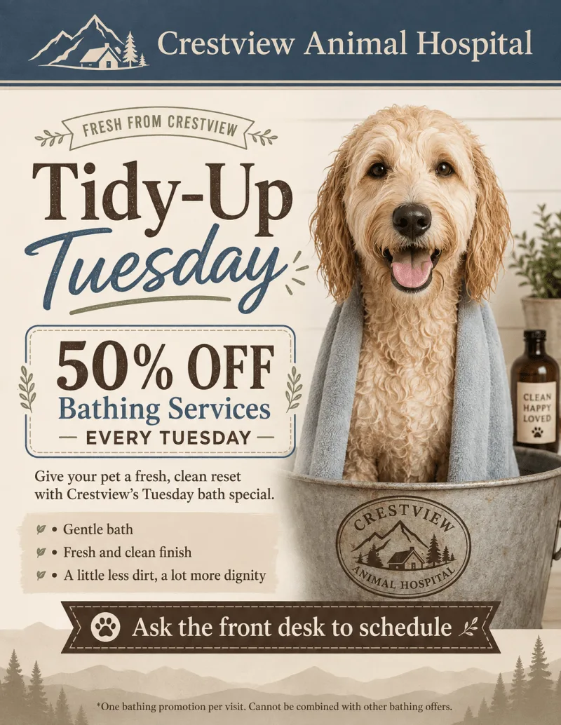 Tidy-Up Tuesday Bathing Special