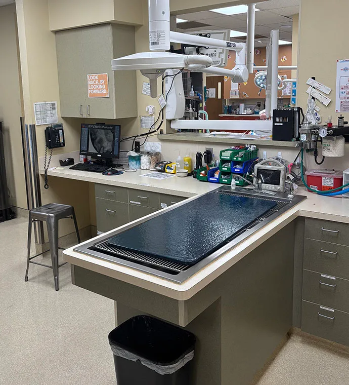 Mountain View Veterinary Hospital Vancouver Washington Dental Suite