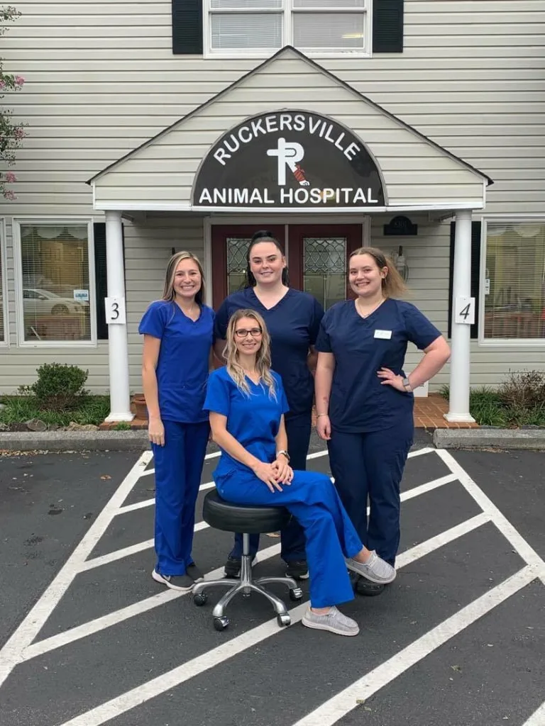 CSR Team