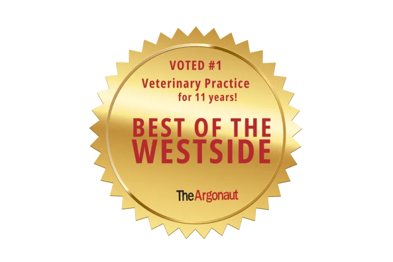 Thank You for Voting Us 'Best of the Westside'