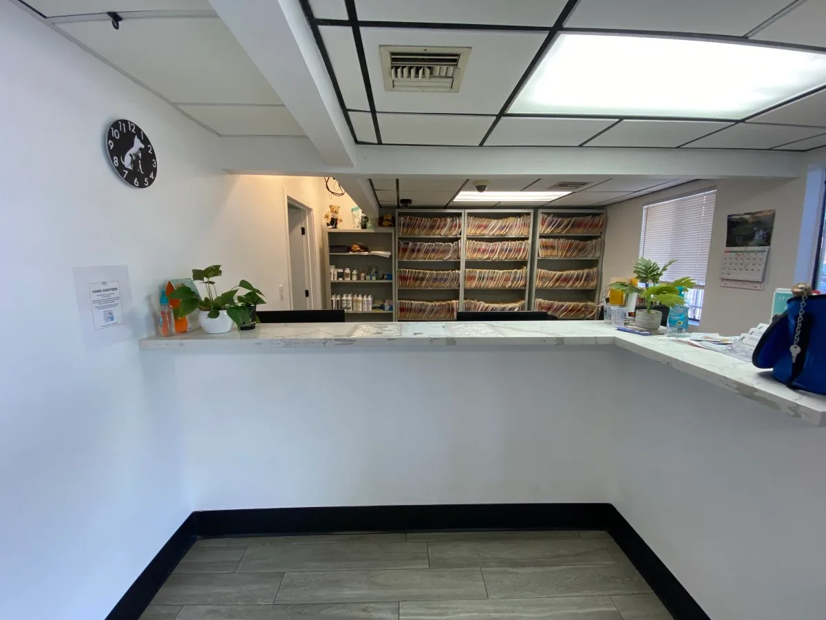 Our Reception Area